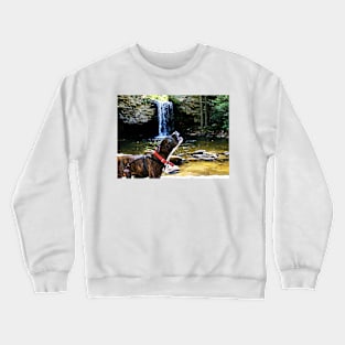 The Hound Of Little Stony Crewneck Sweatshirt